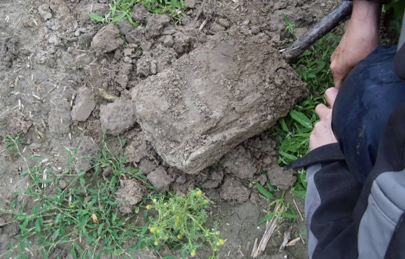 Bij een slechte bodemstructuur spoelen meer meststoffen naar het oppervlaktewater.