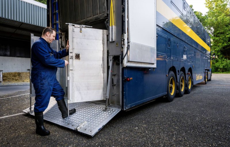 De Cattle Cruiser is in 2009 gepresenteerd door H. van Dommelen Veetransport en Exportstal.