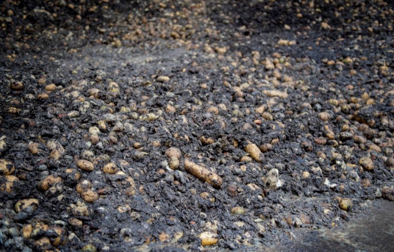 De gewassen die onder de grond groeien, zoals wortelproducten, worden na de oogst door Laarakker geschoond, gesneden, gewassen en gesorteerd en gaan daarna naar de verwerker.