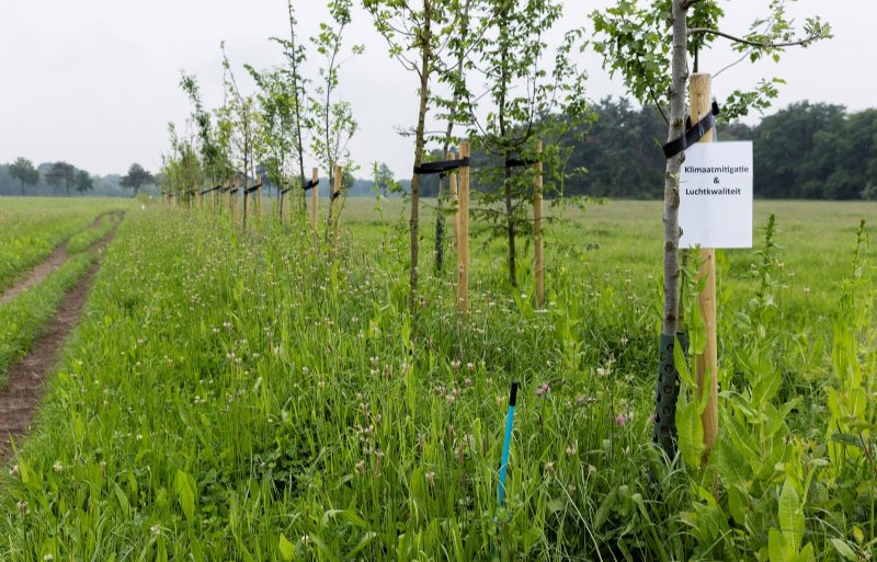 De houtwal 2.0 moet ook voor boeren financieel of anderszins aantrekkelijk zijn.