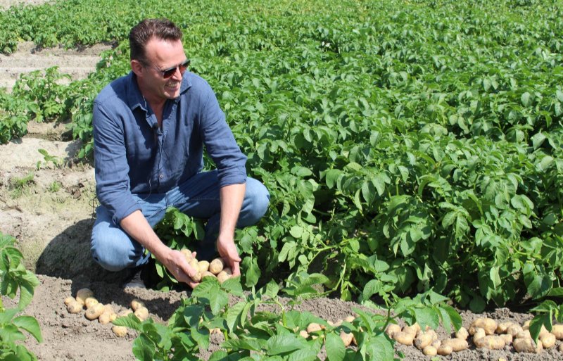 Johan Fase heeft zijn teelt van vroege aardappelen onder folie verkort vanwege zijn zorg over phytophthora-aantastingen.