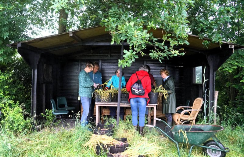 De herenboerderij draait op vrijwilligers, die de boer helpen zaaien, oogsten en producten uitdelen.