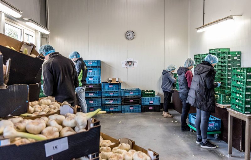 Biesheuvel Knoflook heeft de bewaring en de verwerking in eigen beheer.