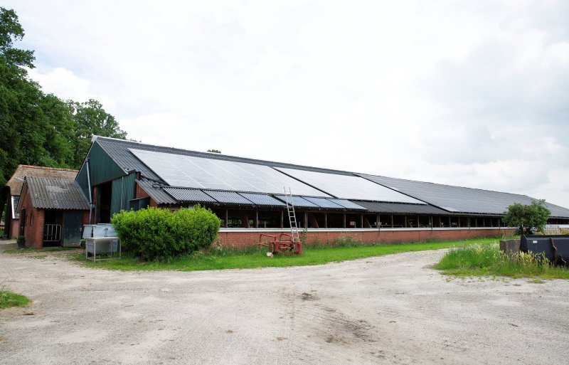 Op het dak van de ligboxenstal liggen zonnepanelen en enkele hotpipes.