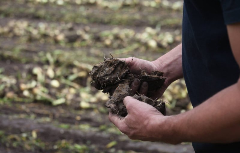 Op sommige plekken op het perceel zit direct onder de bouwvoor een leemlaag, wat zorgt voor een slechte waterdoorlatendheid.