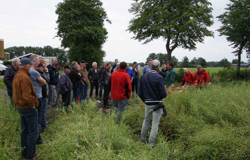 Uitleg in het veld door Limagrain (rode jassen) en teler Geert Lindenhols (groene sweater).