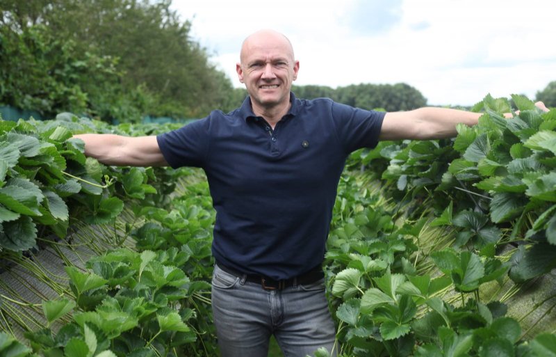 Robert van de Zanden, aardbeienplantenkweker in Haaren