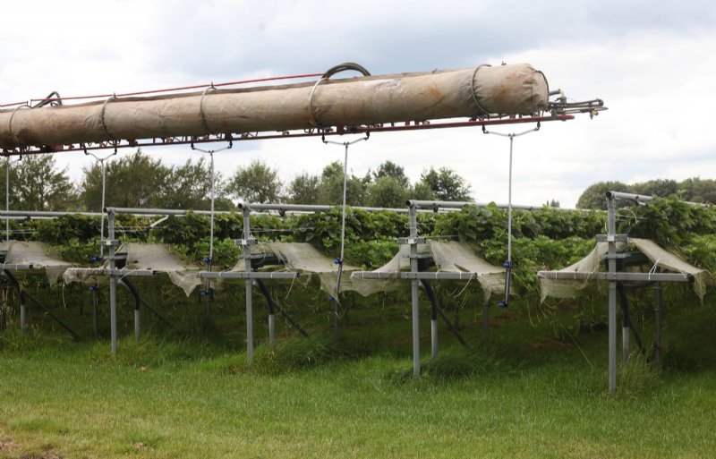 Speciaal voor de teelt op stellingen hangen er verdeelslangen aan de spuitboom, zodat het gewas ook onderin goed wordt geraakt.