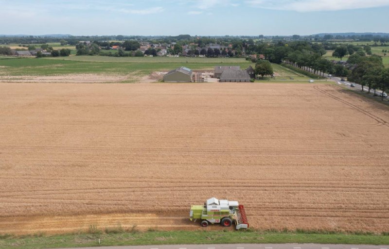 Wintergerst dorsen bij akkerbouwer Wouter Vierboom in het Gelderse Leuth.