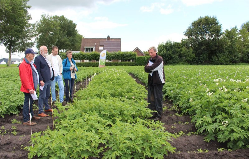 Keurmeester Cor Baarda geeft uitleg bij het controleveld van TBM met verschillende partijen pootgoed.