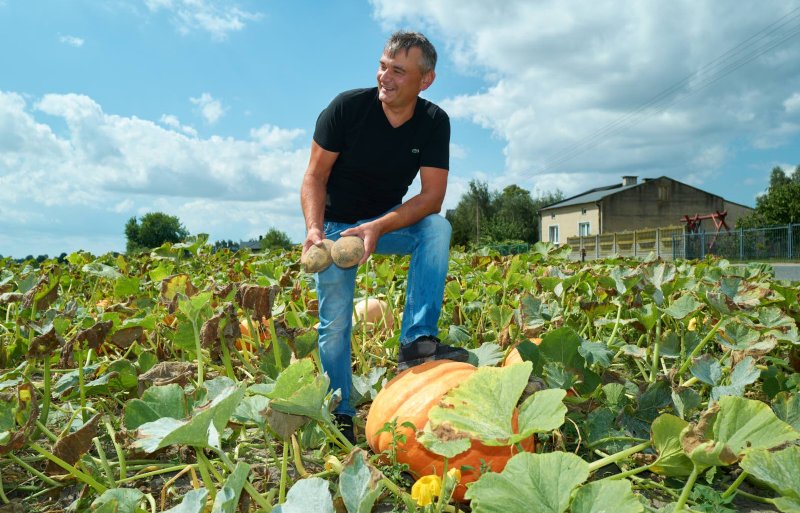 De Poolse akkerbouwer Radoslaw Kobus toont zijn grote Jurek-aardappelen. 
