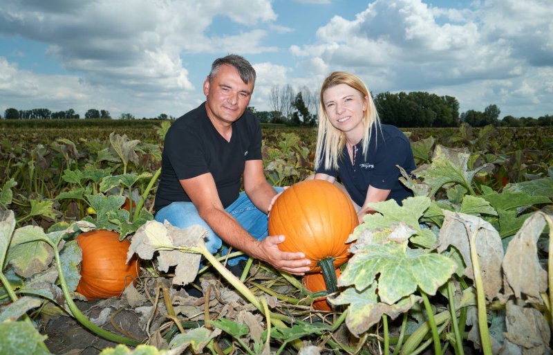 Op het voor Polen gemiddelde bedrijf van 36 hectare telen Kobus en zijn vrouw Anna onder andere pompoenen.