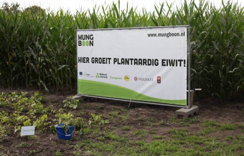 De partners binnen het project 'Mungboon'.