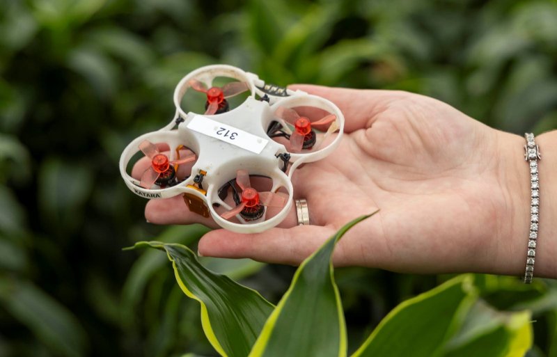 Kleine drones van Pats speuren in de nacht naar rondvliegende insecten om die met hun propellers te vermorzelen.
