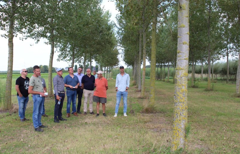 Populierenspecialist Jan Hendrickx (vierde van links met lichte pet) geeft een toelichting bij de verschillende cultivars.