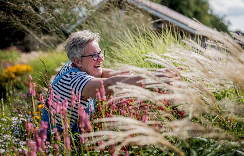 Anja Broekhuis: 'Hoe kan alles toch zo mooi bloeien?'