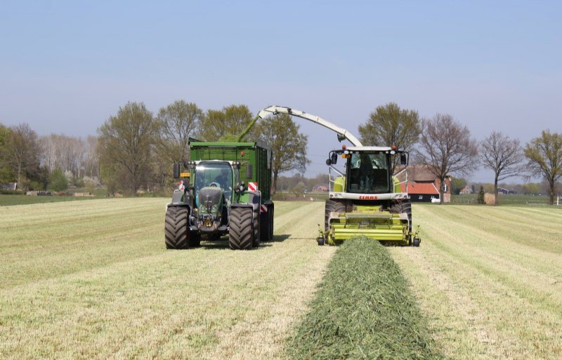 Met de teelt van Snelle Lente Rogge als vanggewas na maïs en/of als rustgewas wordt voldaan aan de eisen zoals gesteld in het 7e Actieprogramma Nitraatrichtlijn. Foto: KWS