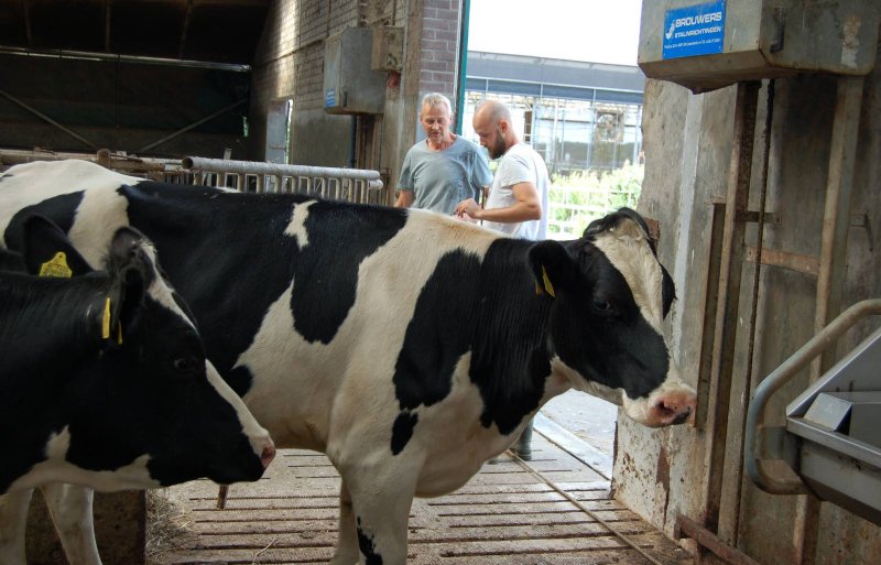 Sietse Hartman wist zijn vader en moeder te overtuigen om naar biologisch om te schakelen.