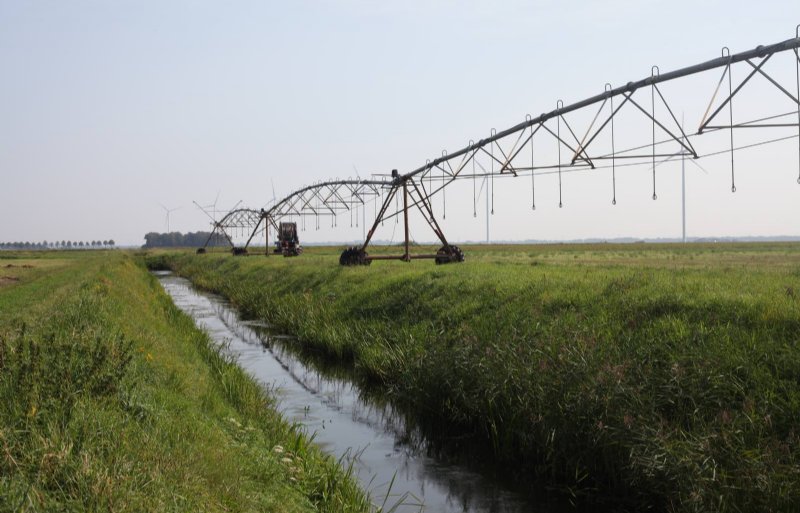 De Panmans beregenen op 81 hectare met een lineaire pivot die 160 meter breed is en rijdt op percelen van 1.700 meter lengte.