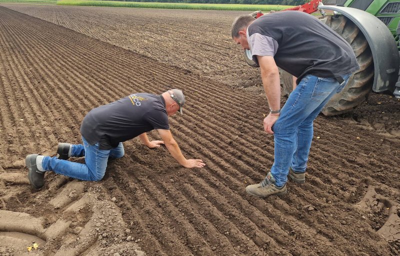 Beoordeling van het zaaiwerk op het proefperceel nabij het Gelderse Doetinchem.