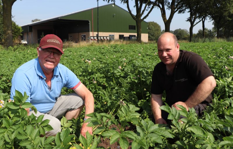 Jan en Rob Meeuwissen, akkerbouwers in het Noord-Brabantse Gestel.