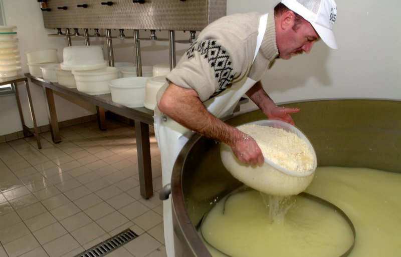 Mycotoxinen hebben een negatief effect op de eiwitten die verantwoordelijk zijn voor het stremmen van de melk.