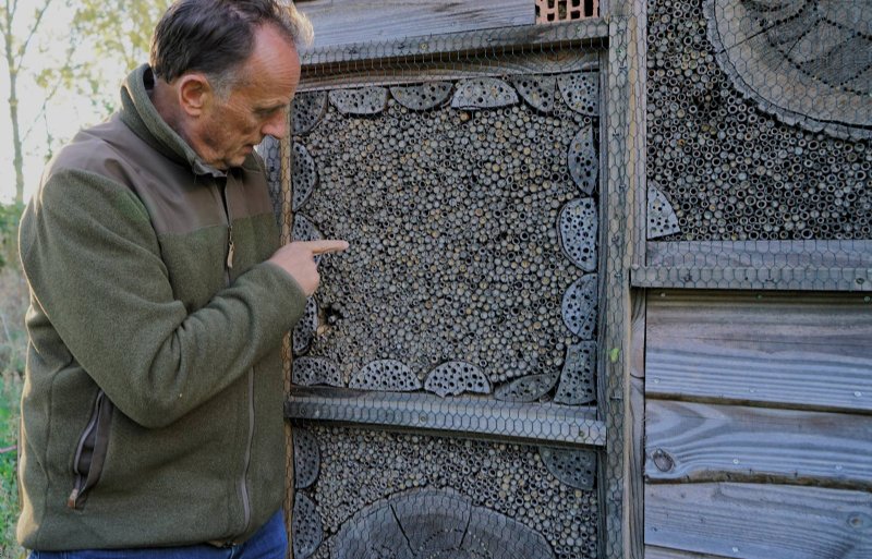 'Insecten zorgen voor plaagbestrijding en bestuiving van bloemen', zegt Stijn Heijs.