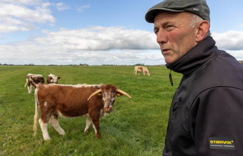 Biologisch vleesveehouder Oane Smink heeft dertig longhorns.
