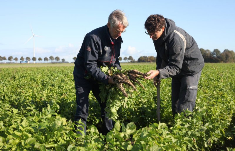 Henk en Koen Klompe, biologische akkerbouwers in Biddinghuizen-02