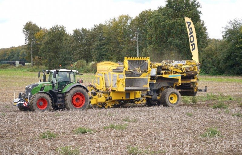 Op de 3 hectare aardappelen rond de fabrieksvestiging waren meerdere een- en tweerijige rooiers actief.