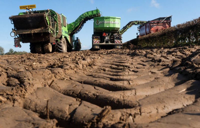 Dankzij de overlaadwagen kan de kippercombinatie op de weg blijven staan, waardoor er veel minder insporing is door rooiwerkzaamheden op het perceel.