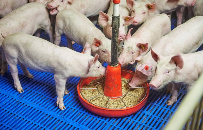 Bijvoeren is een goed alternatief voor een injectie.