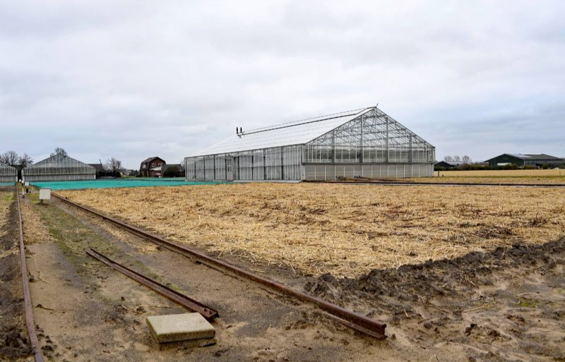 In Heemskerk staan nog veel rolkassen die over rails naar verse grond worden gerold.