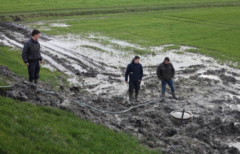 Ruben (links), Joost en Johan Rentmeester zijn akkerbouwers in het Zeeuwse Kerkwerve.