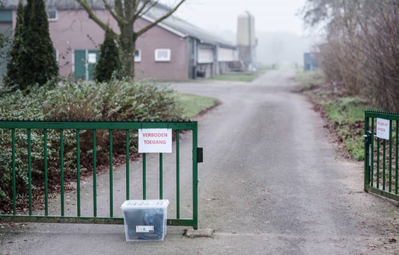 Vanwege MKZ in Duitsland konden in de stal geen foto’s worden gemaakt.