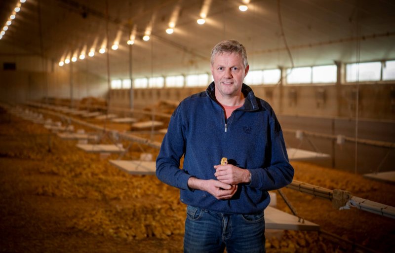 Erik Staal, pluimveehouder in het Gelderse Telgt