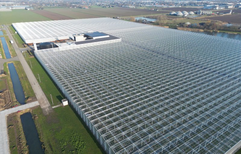 Royal Berry is de grootste aardbeienproducent van Nederland.