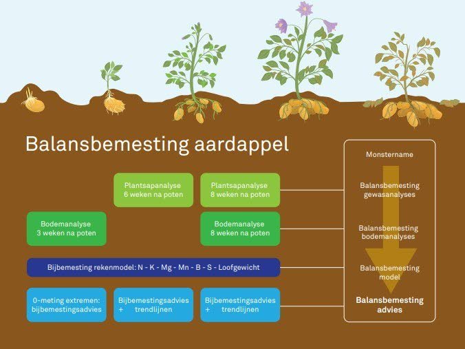 Het bijbemestingsmodel Balansbemesting Aardappel van Agrifirm.