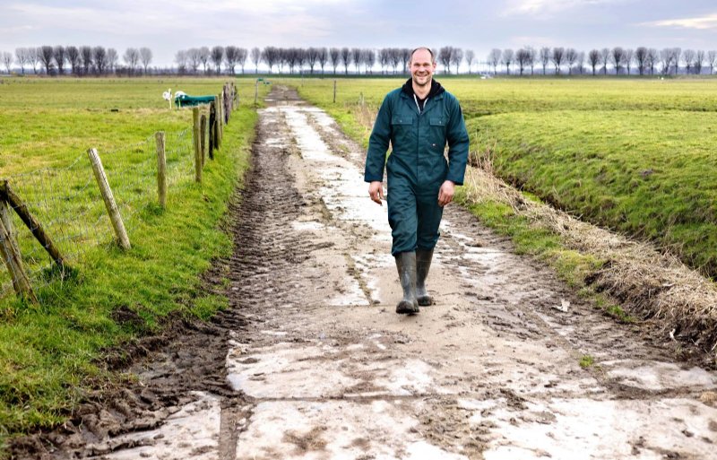 Van de 55 hectare huiskavel wordt ongeveer 45 hectare ingezet om te weiden.