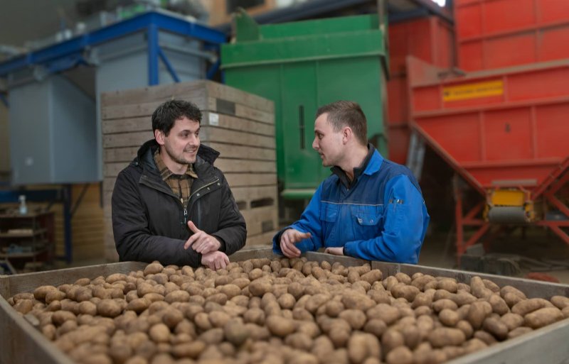 Pootaardappelteler Martijn Kamp (rechts) en Agrifirm teeltspecialist Rens Hupkes bepreken hoe ze het risico van phytophthora dit jaar kunnen beheersen. Het gebruik van het Agrifirm-adviessysteem Totaal Phytophthora Aanpak staat daarin centraal.