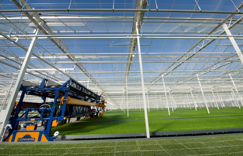 Speciaal voor knolselderij en prei is een arbeidsbesparende zelfrijdende maaier of aftopmachine gekocht.
