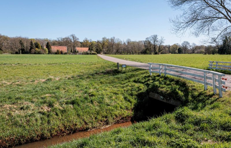 De boerderij heeft 10,5 hectare land, waaronder deze es.