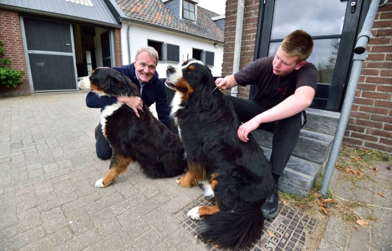 De kinderen komen in contact met veel dieren, zegt Bert Hoogenboom (links).