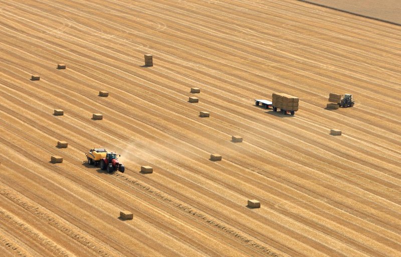 De stroprijzen liggen hoog door een krap aanbod.