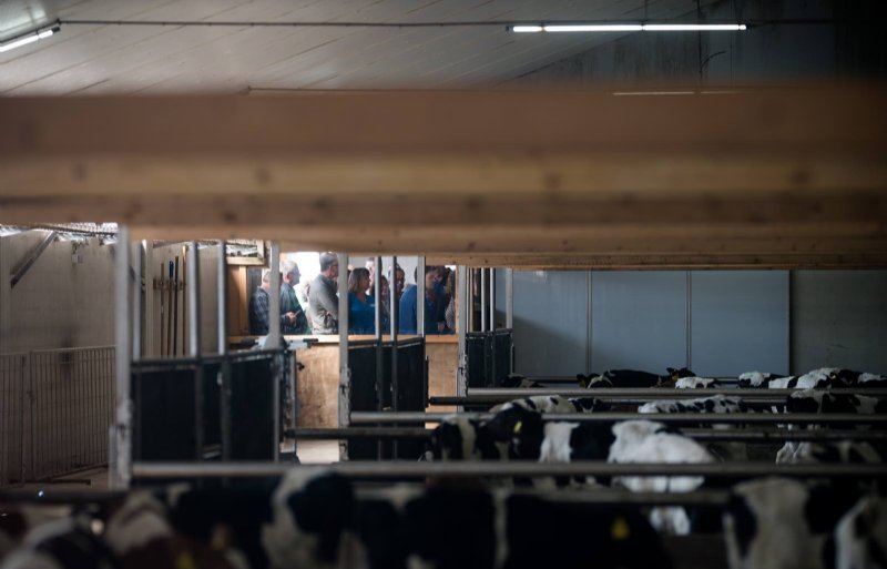 Het thema was dit jaar 'Landbouw in transitie'. Onder de deelnemers zaten echte pioniers, maar ook traditionele boeren. Zo ook melkveehouderij Maatschap Winkelmolen-Verstappen in Nederweert-Eind. Zij lieten zien wat transitie voor hun betekent.