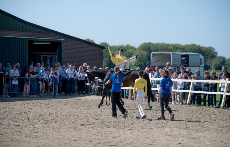 Ook de paardenhouderij was vertegenwoordigd tijdens Loeren bij de Boeren 2025. Bezoekers konden bijvoorbeeld langsgaan bij stal Le Winne in Heythuysen. Dit is een pensionstalling en fokkerij voor Friese paarden.