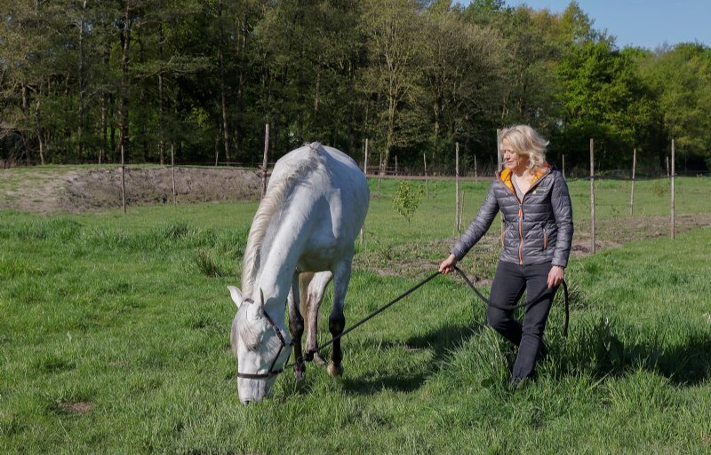 Inga Wolframm onderzoekt de rol van de paardenhouderij bij biodiversiteit.