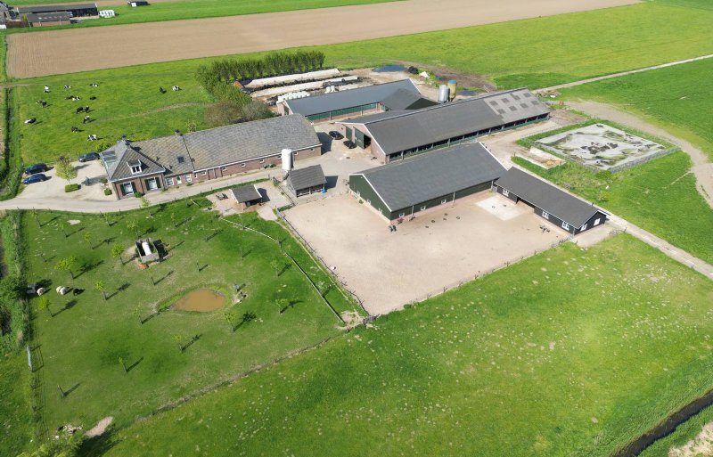 Boerderij Borreveld telt ook 130 melkkoeien en 70 stuks jongvee.