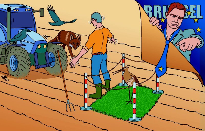 Nederland moet van de Europese Commissie beter zijn best doen om de grutto te beschermen.
