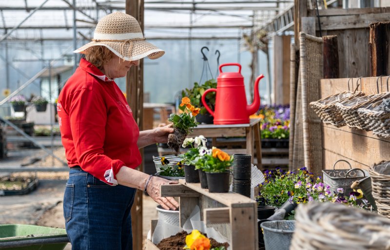 Hanging baskets maken trekt honderden deelnemers.

